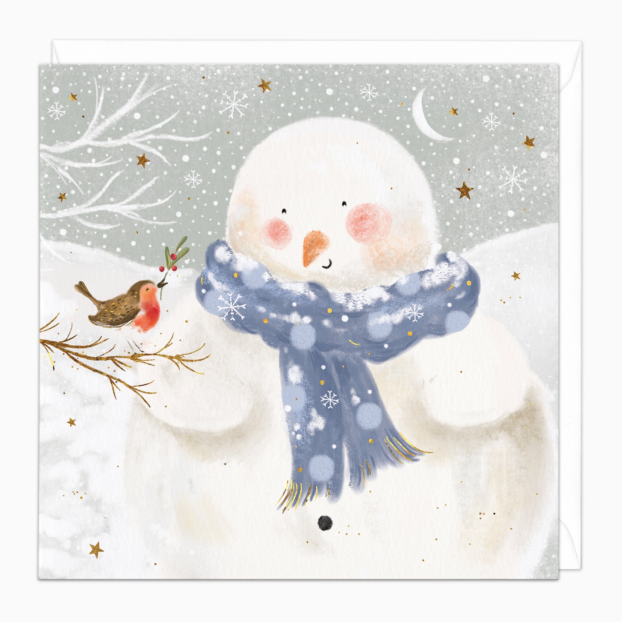ZA166 - Snowman & Robin Christmas Card