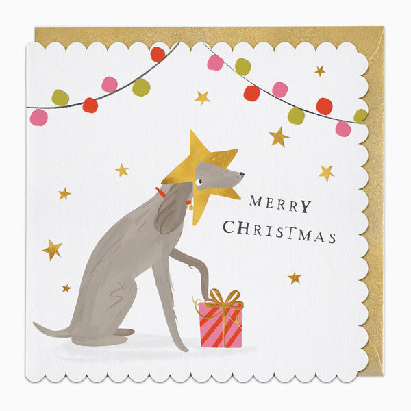 ZA172 - Star Pup Christmas Card