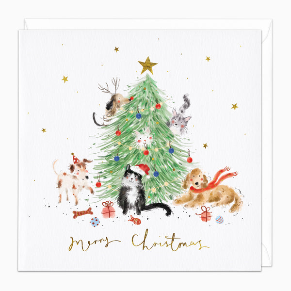 ZA175 - Christmas Pets Christmas Card