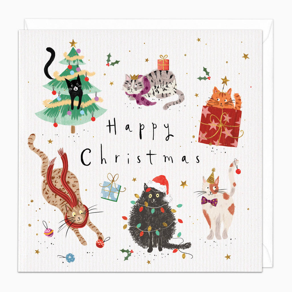 Mischievous Kitties Christmas Card - Whistlefish