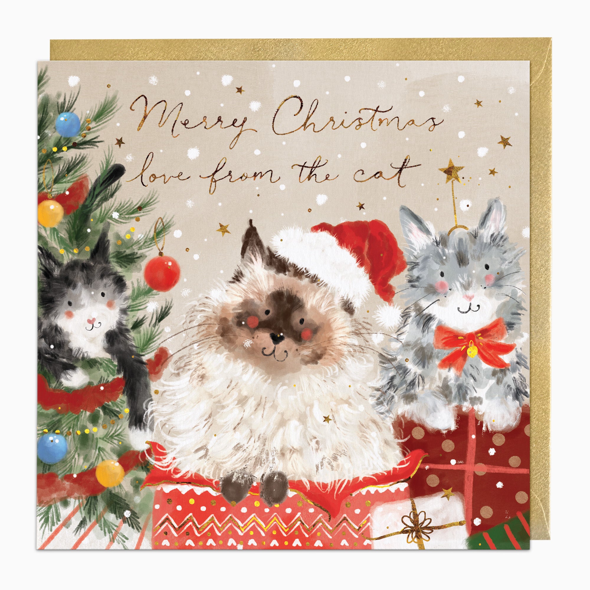 Love From The Cat Christmas Card - Whistlefish