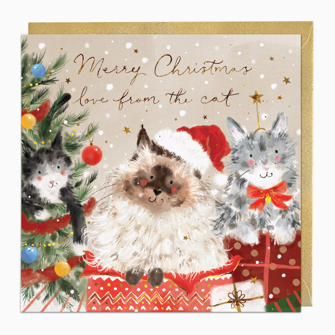 Love From The Cat Christmas Card - Whistlefish