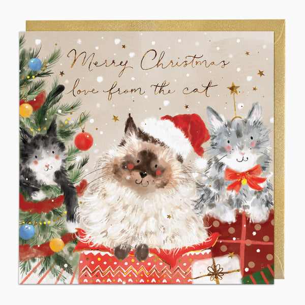 ZA179 - Love From The Cat Christmas Card