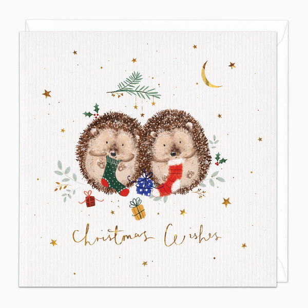 ZA190 - Hedgehog Stockings Christmas Card