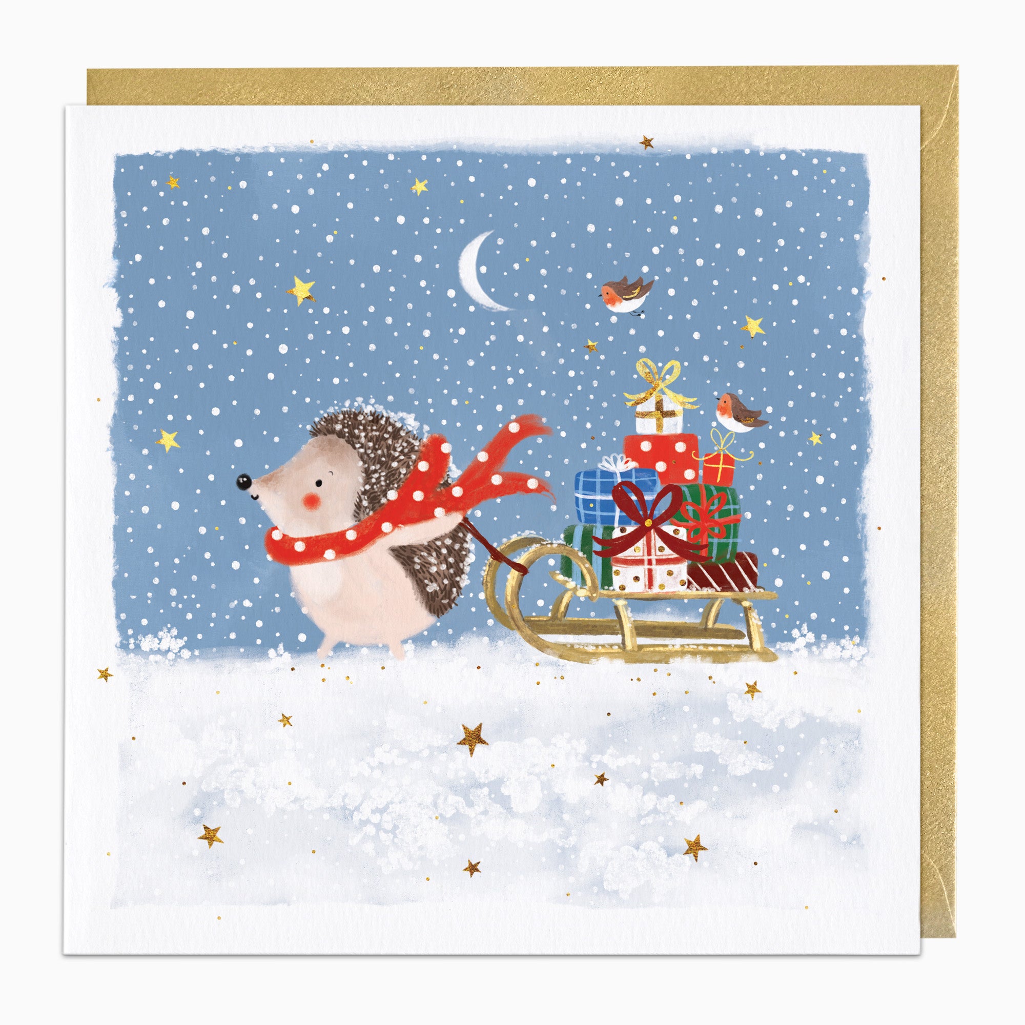 ZA192 - Hedgehog Sleigh Christmas Card