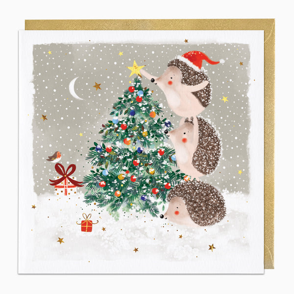 ZA193 - Hedgehog Decorators Christmas Card