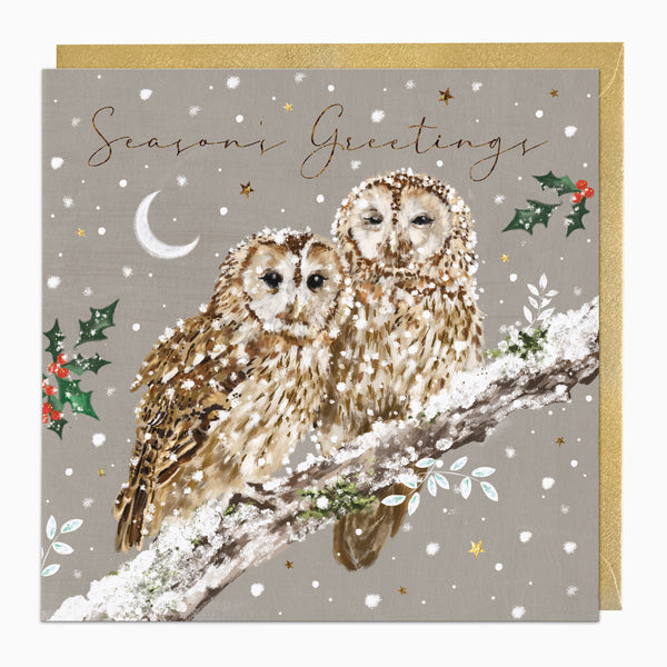 ZA201 - Cosy Owls Christmas Card