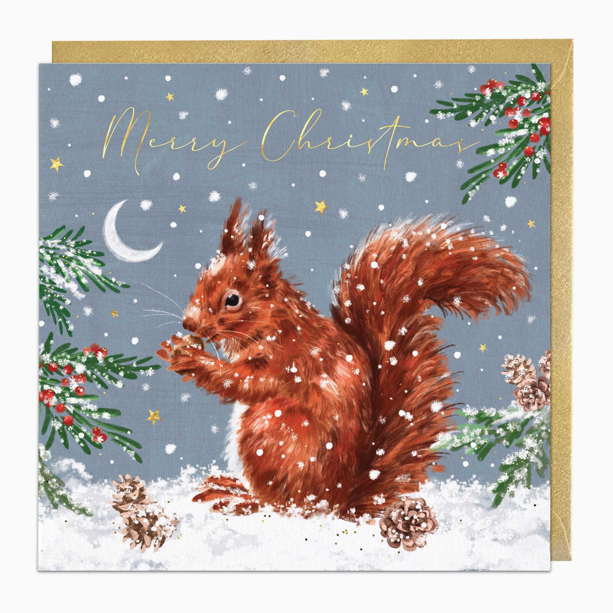 ZA203 - Squirrel In The Snow Christmas Card