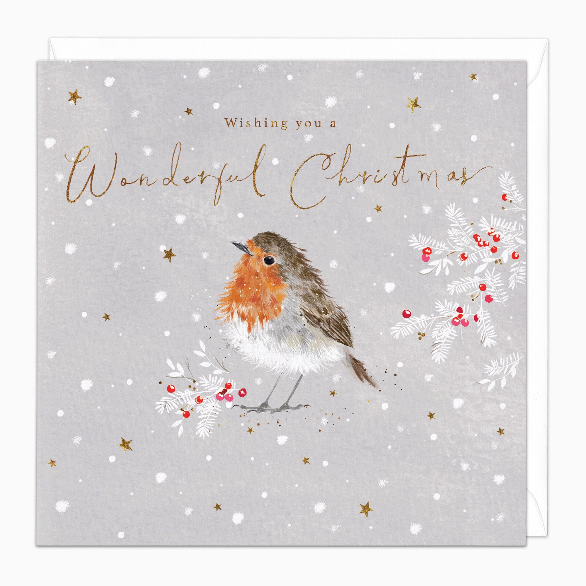 ZA208 - Robin & Berries Christmas Card