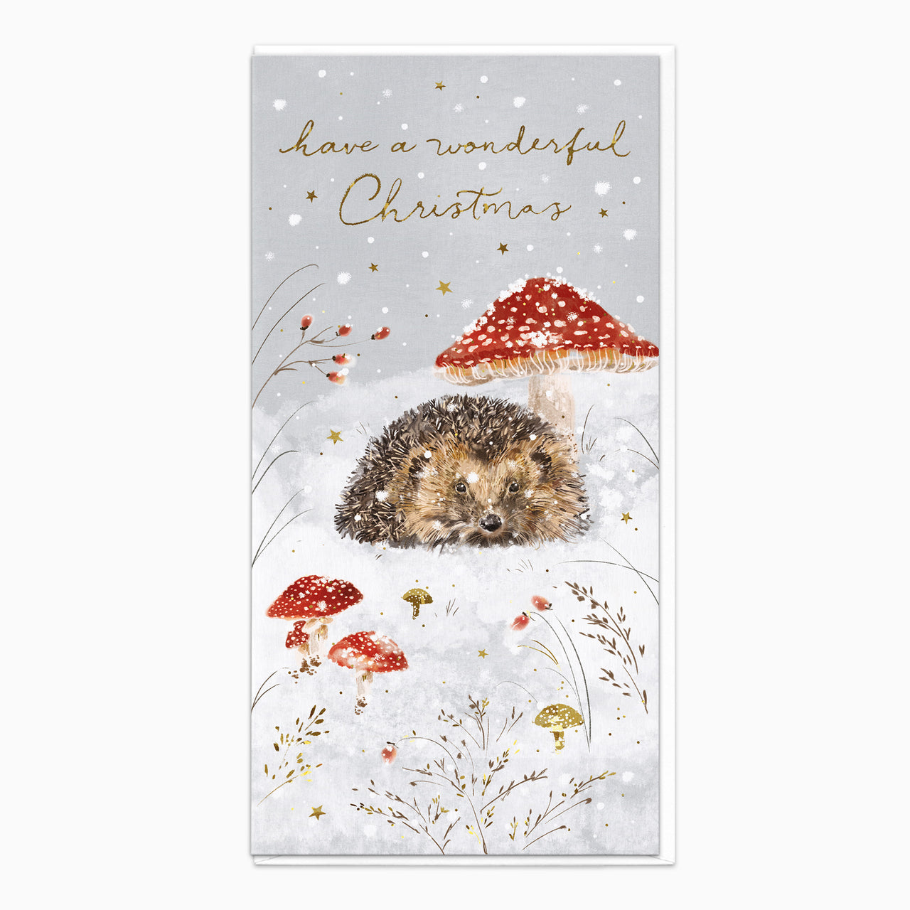 ZA212 - Wonderful Hedgehog Christmas Card