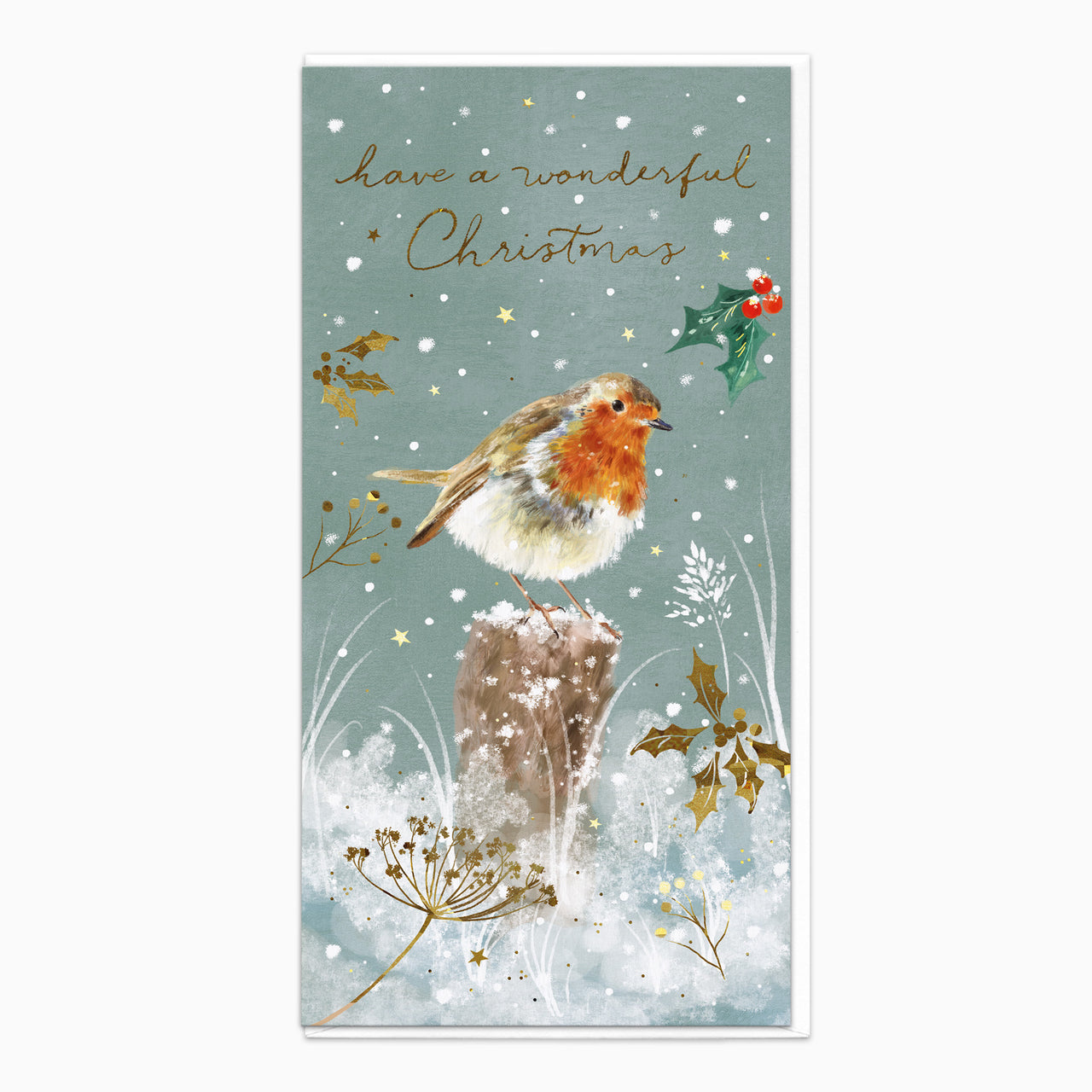 ZA213 - Wonderful Robin Christmas Card