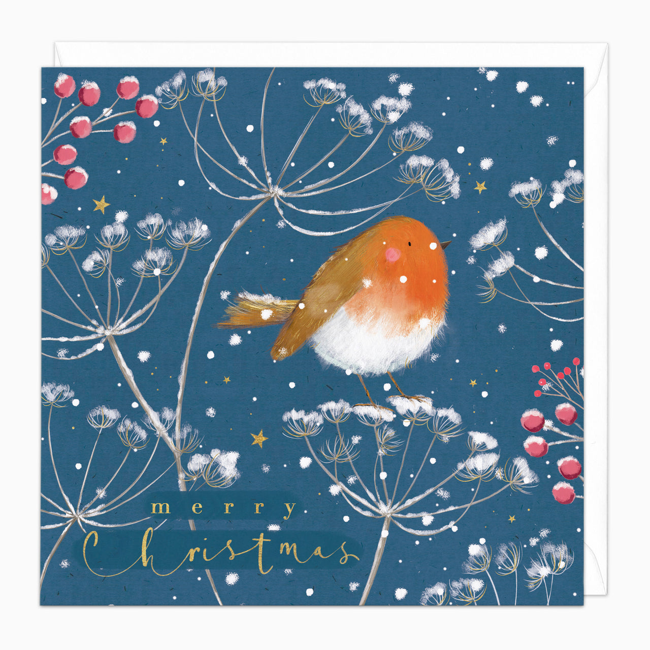 ZA224 - Robin & Cow Parsley Christmas Card