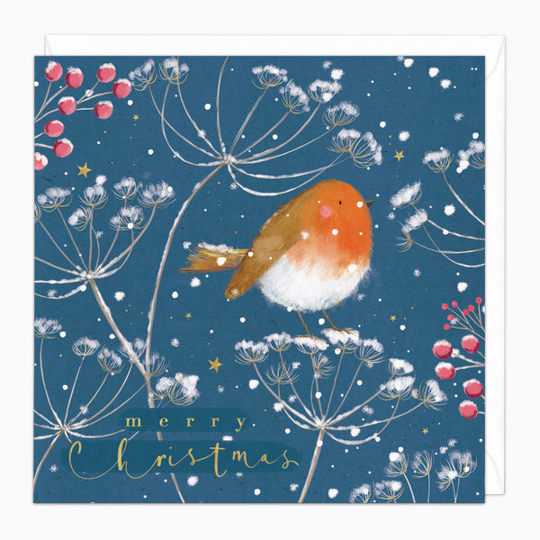 ZA224 - Robin & Cow Parsley Christmas Card