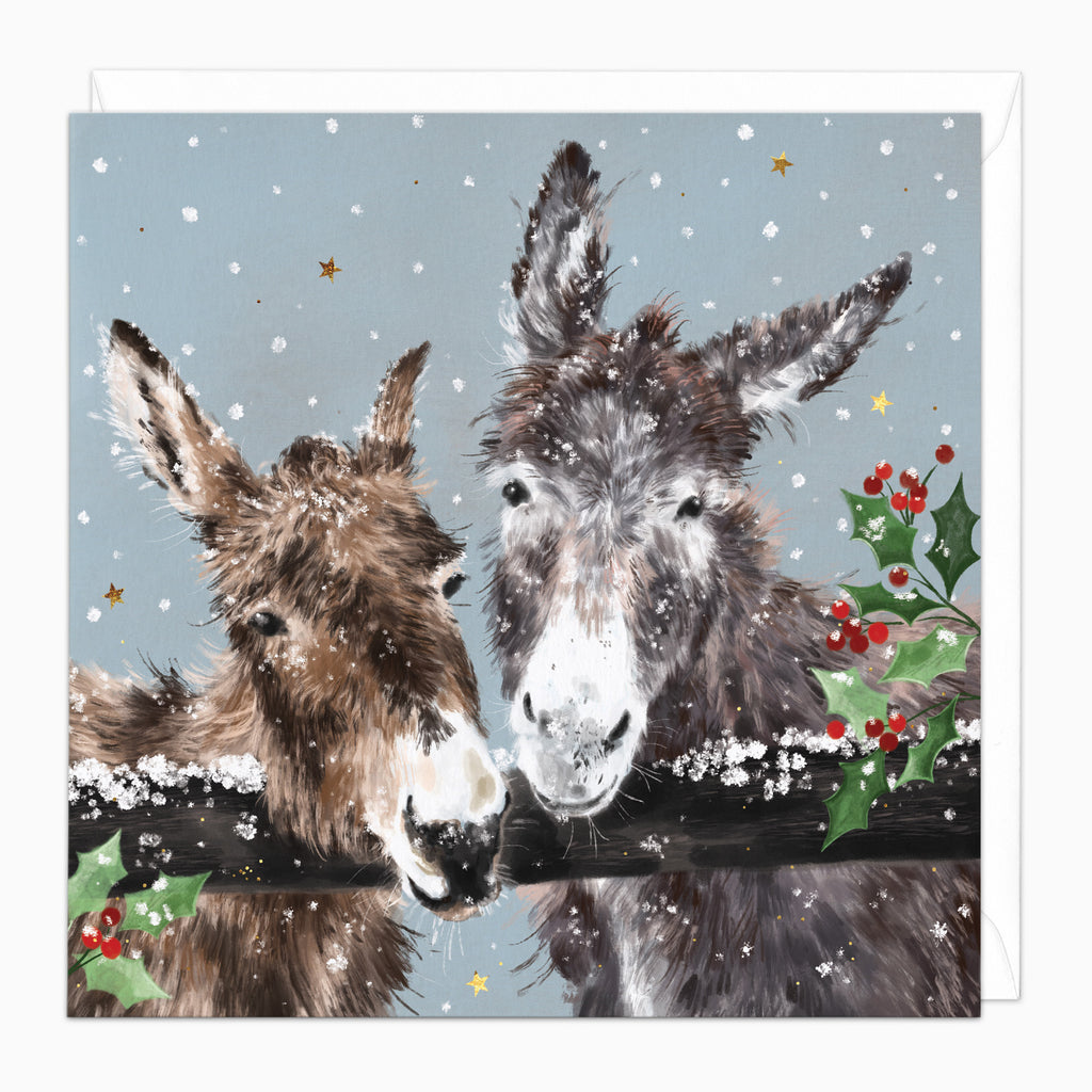 ZA250 - Donkey Friends Christmas Card