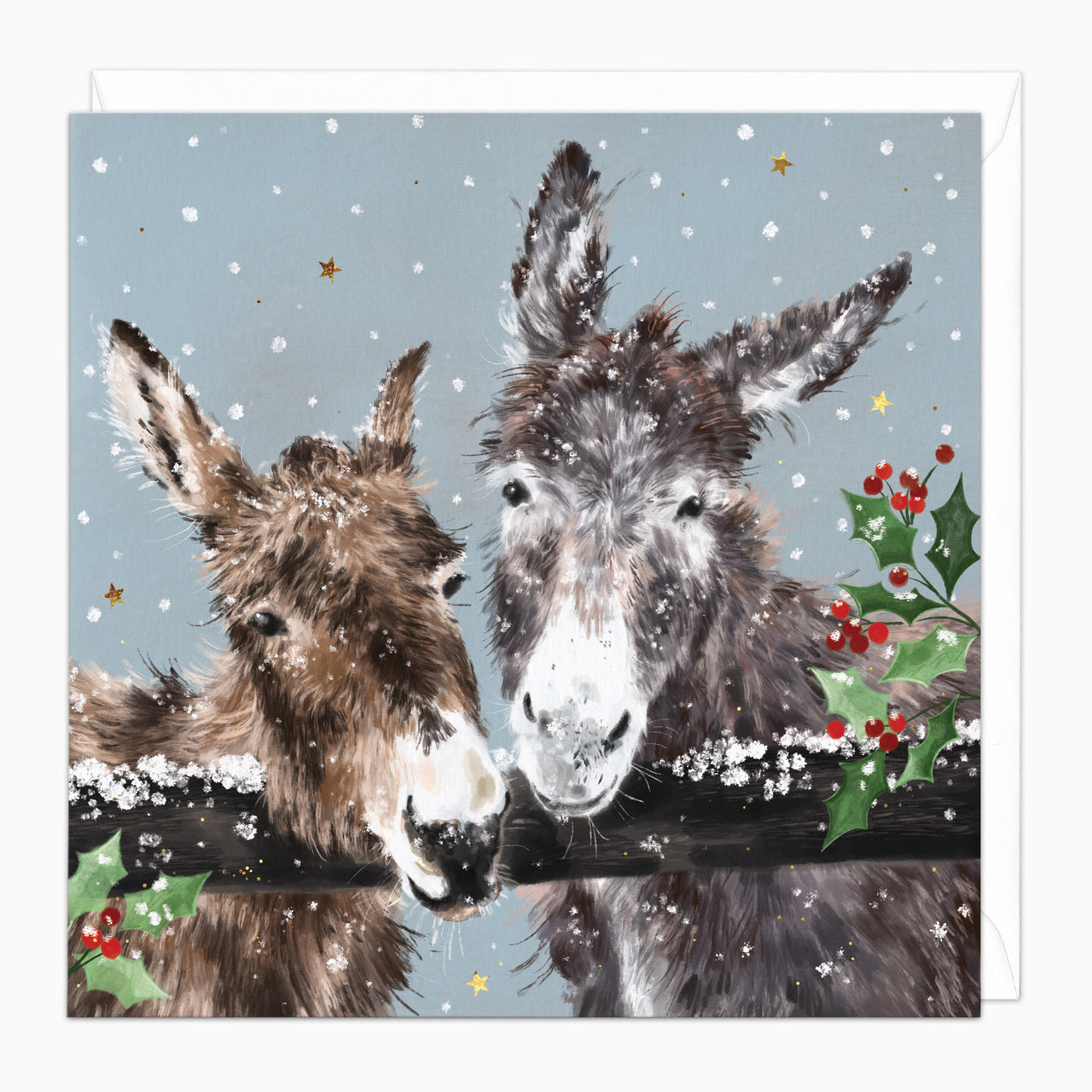ZA250 - Donkey Friends Christmas Card