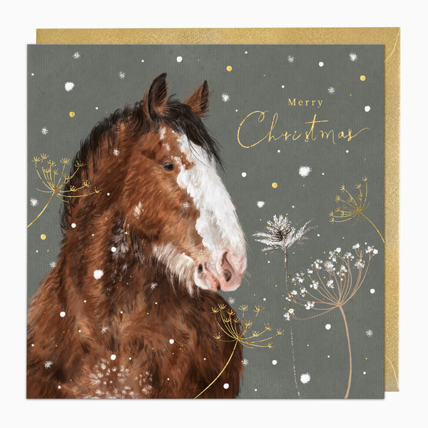 ZA252 - Clydesdale Christmas Card