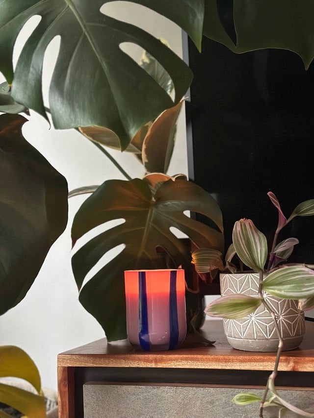 Candle-MASTRC01 - Atina Candle Blackcurrant & Oudh-Maegen