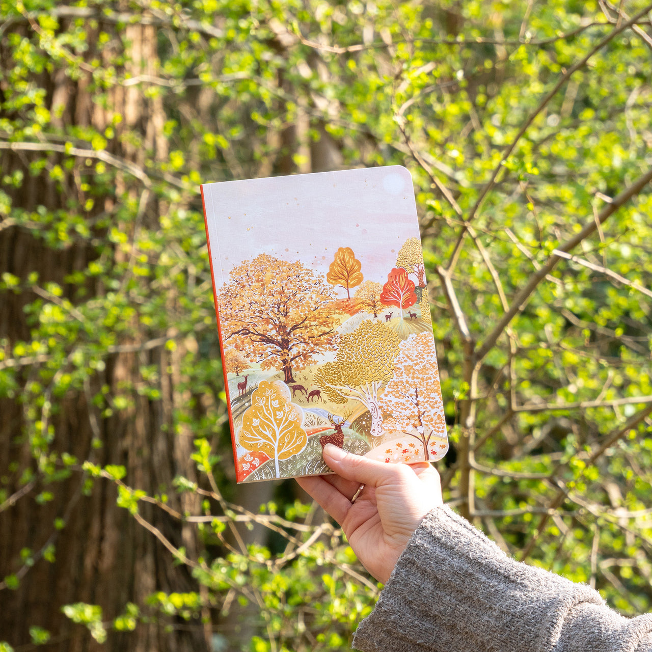 Notebook-WNB50 - Autumn Woodland Notebook-Whistlefish