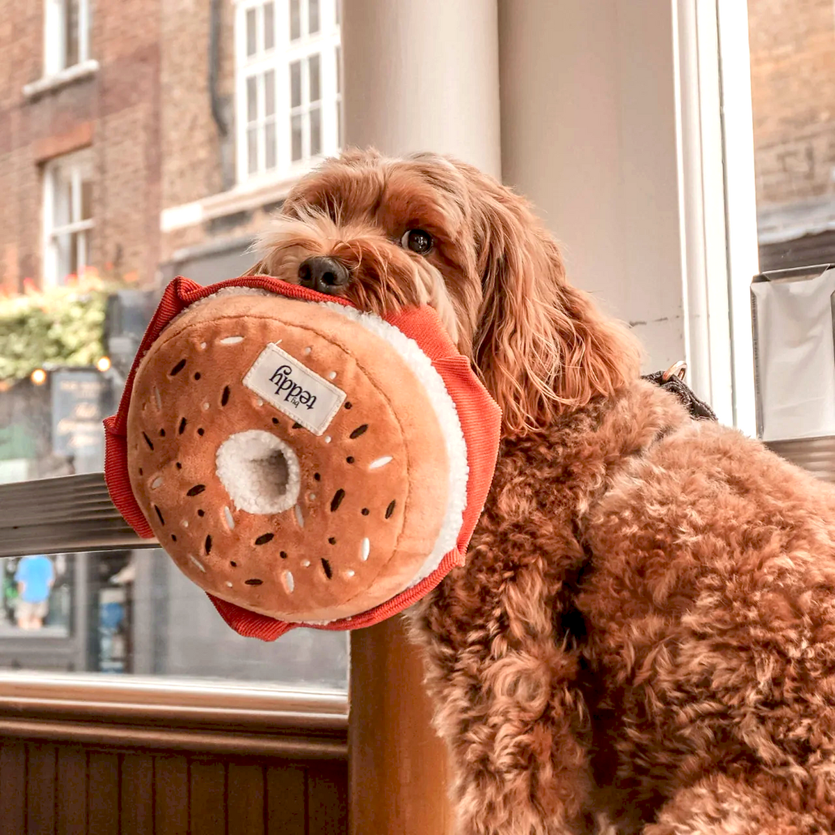 CCTOYL - Bagel Dog Toy