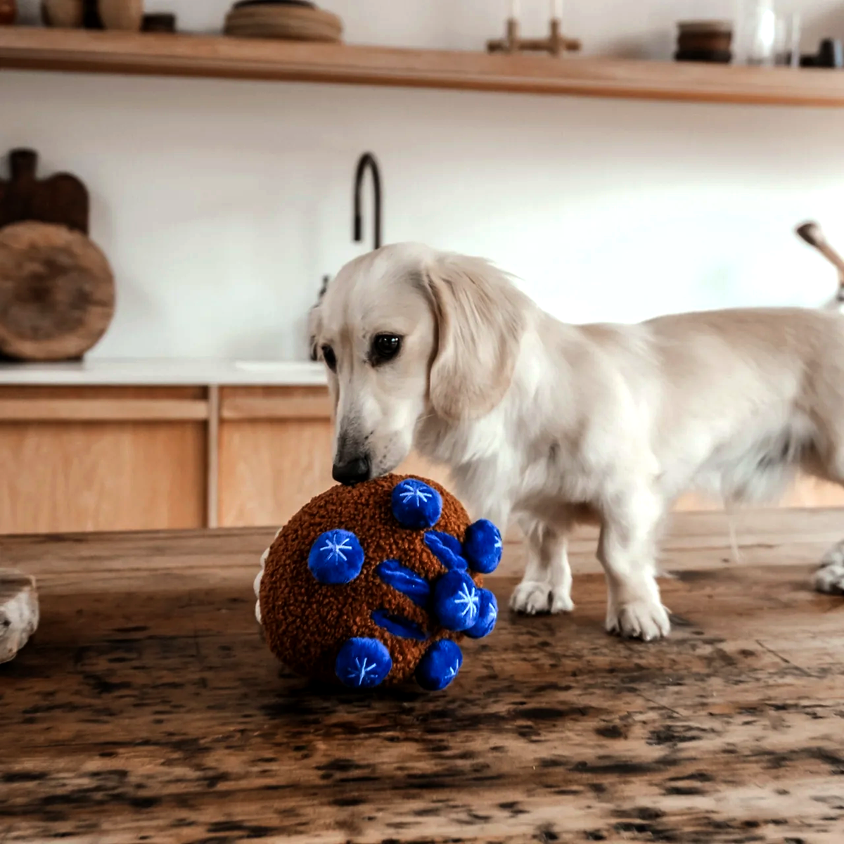 BMTOYL - Blueberry Muffin Dog Toy