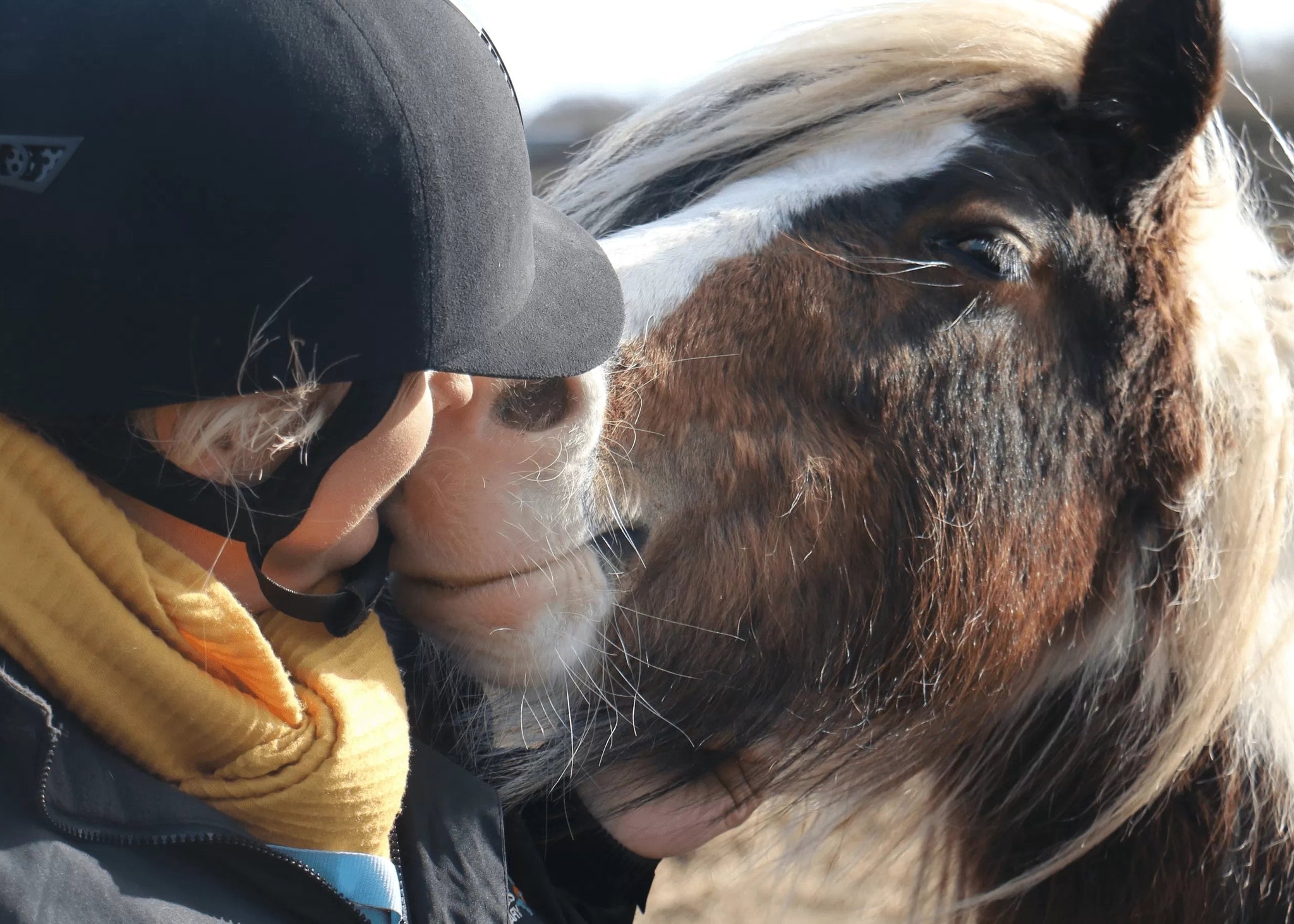 DONATION005 - Redwings Horse Sanctuary Donation