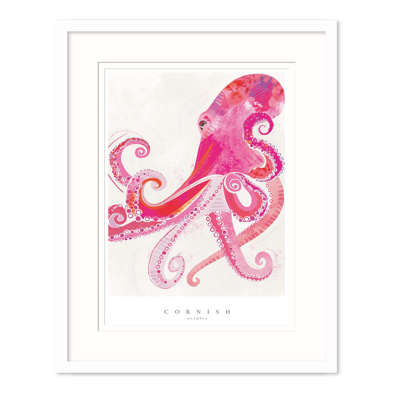 Framed Print-WF719F - Cornish Octopus Medium Framed Print-Whistlefish