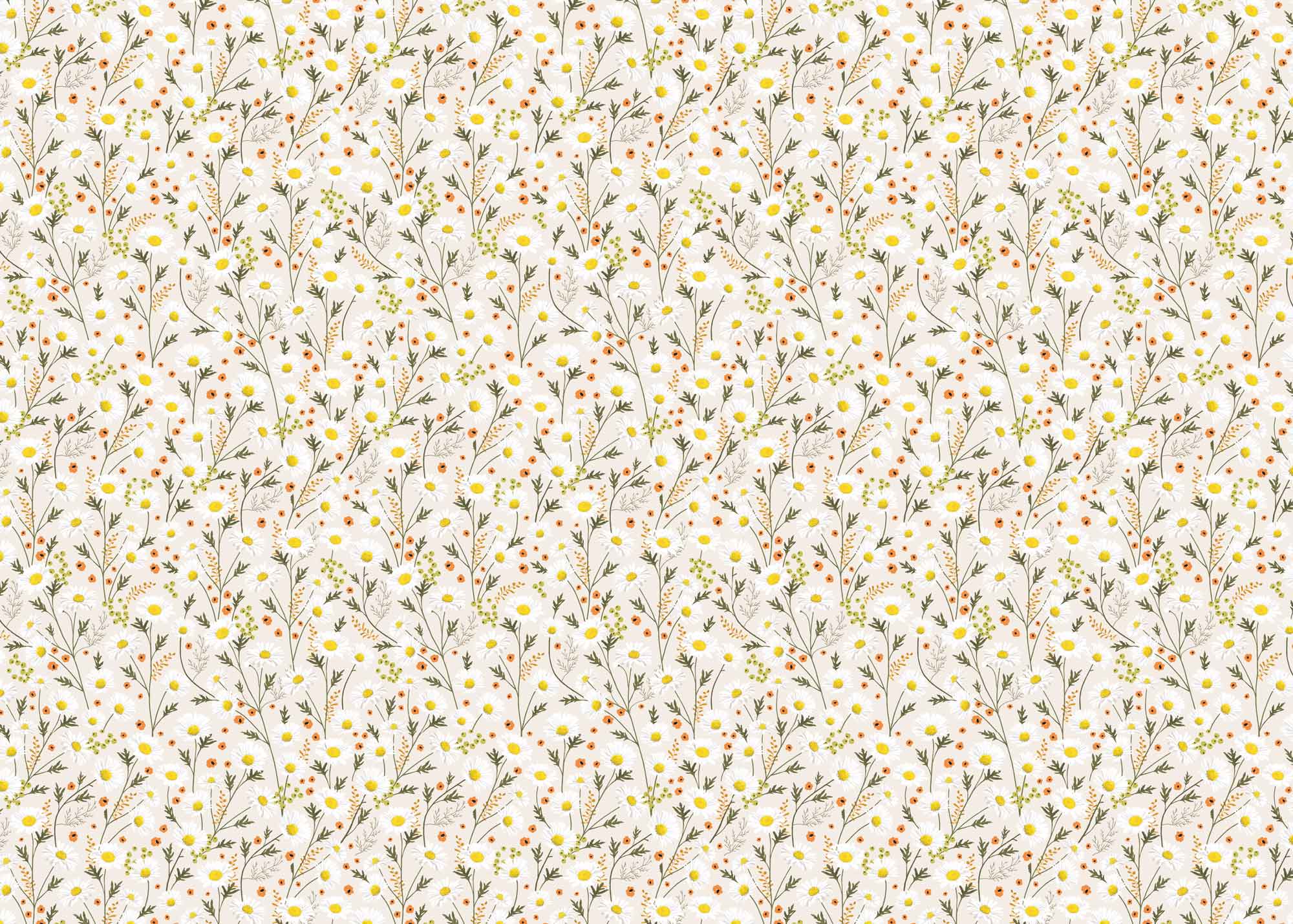 Wrapping Paper - GWP17 - Delicate Daisy Wrapping Paper - Delicate Daisy Wrapping Paper - Whistlefish