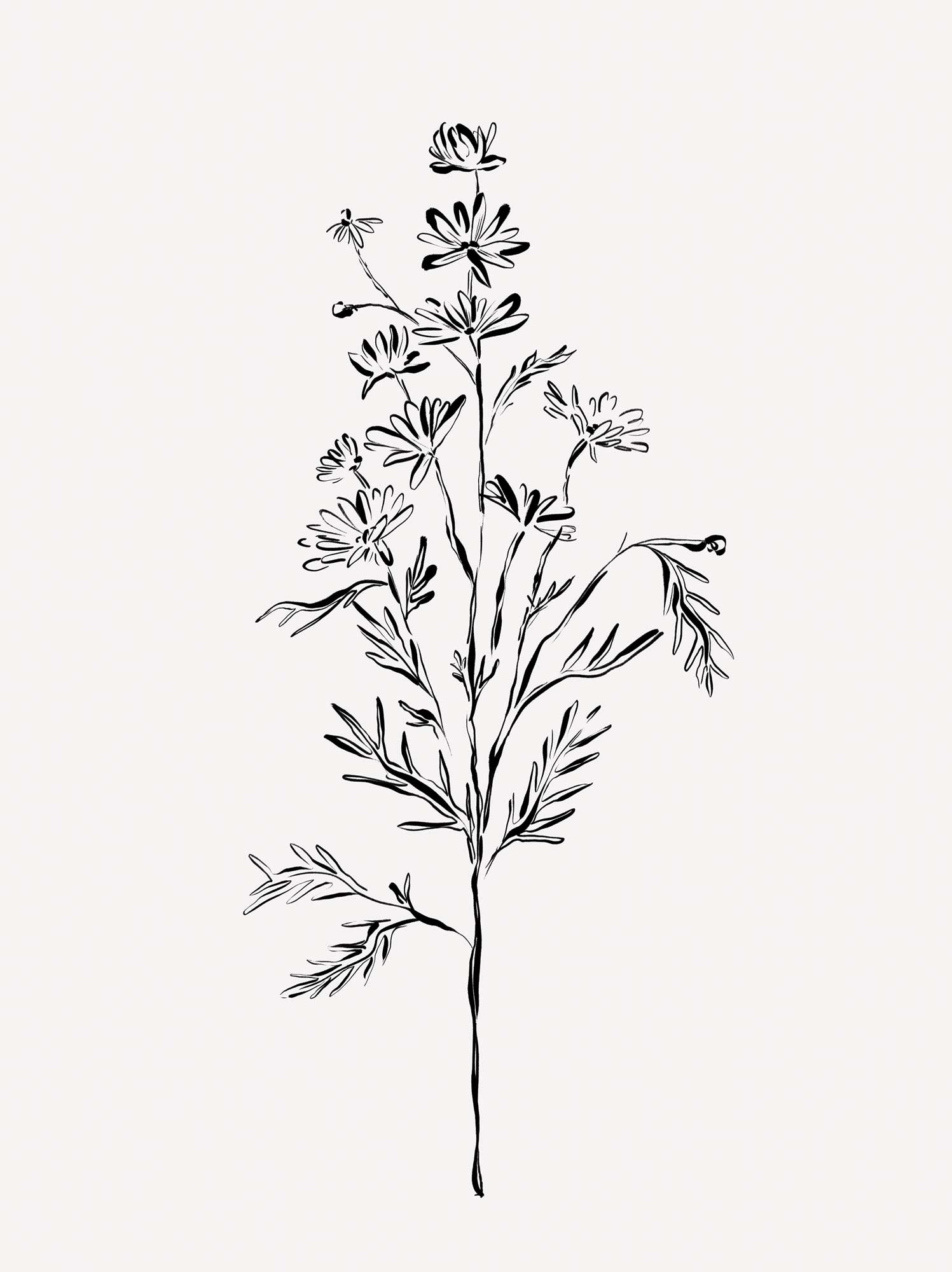 Framed Print-WF1207F - Elegant Floral Framed Print-Whistlefish