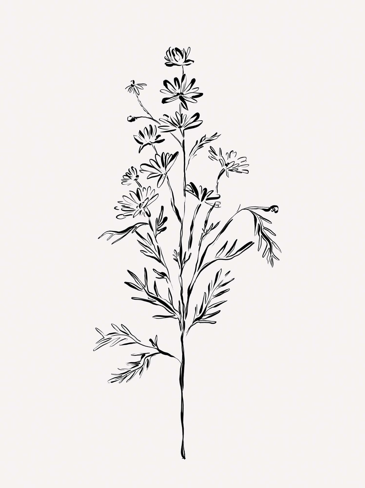 Framed Print-WF1207F - Elegant Floral Framed Print-Whistlefish