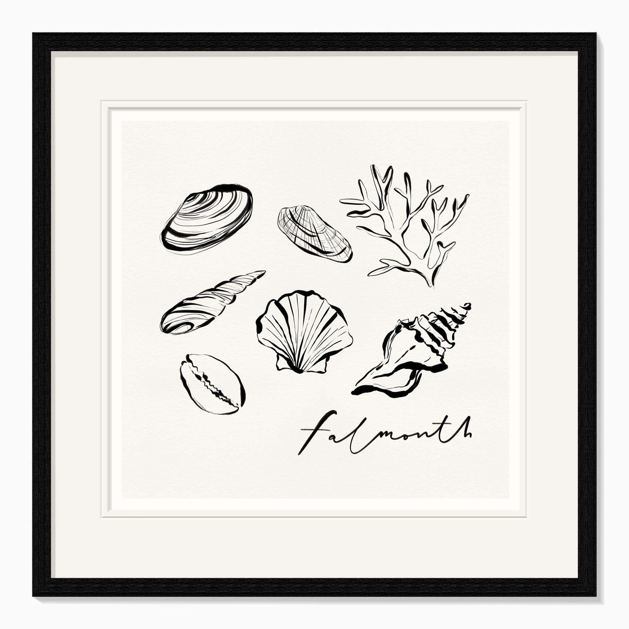 Framed Print-WF1105F - Falmouth Shells Framed Print-Whistlefish