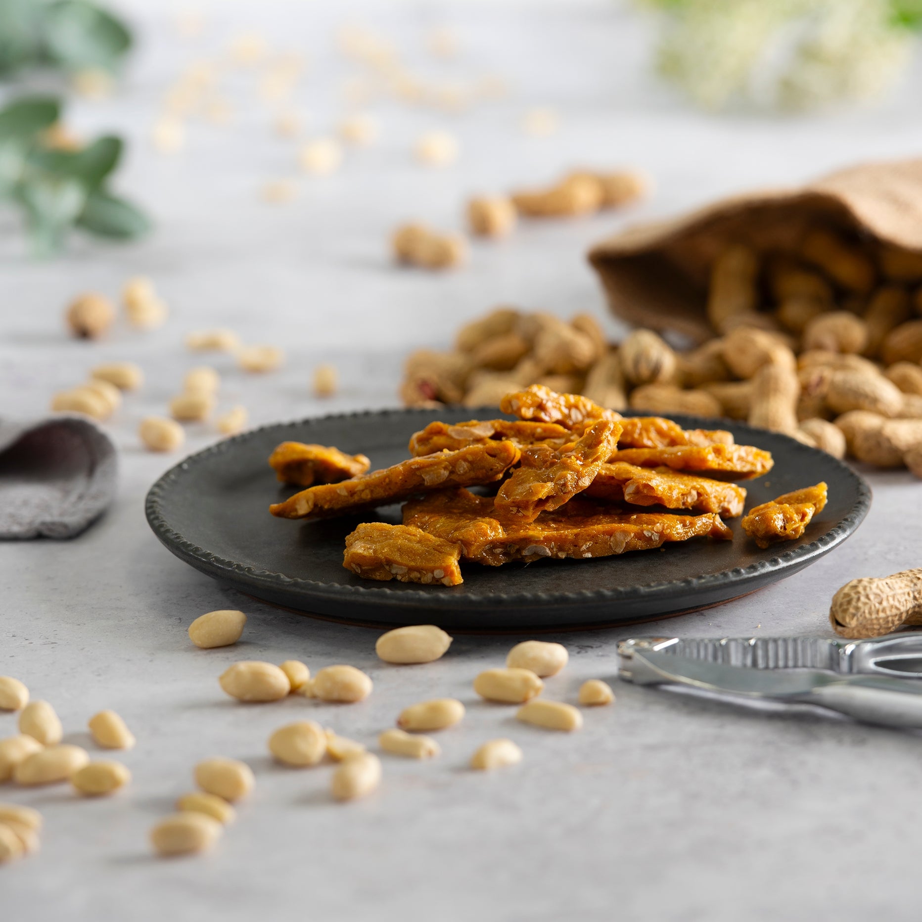 Fudge-6267 - Fudge Kitchen Rock Salted Peanut Brittle-Fudge Kitchen
