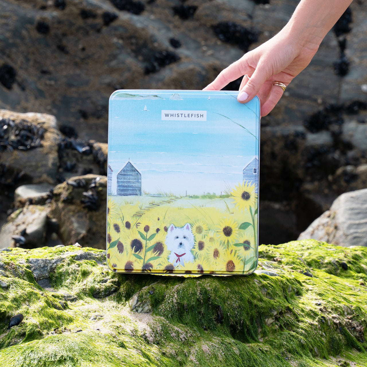 Gift Tin-GT32 - Gone Westie Gift Tin-Hannah Cole