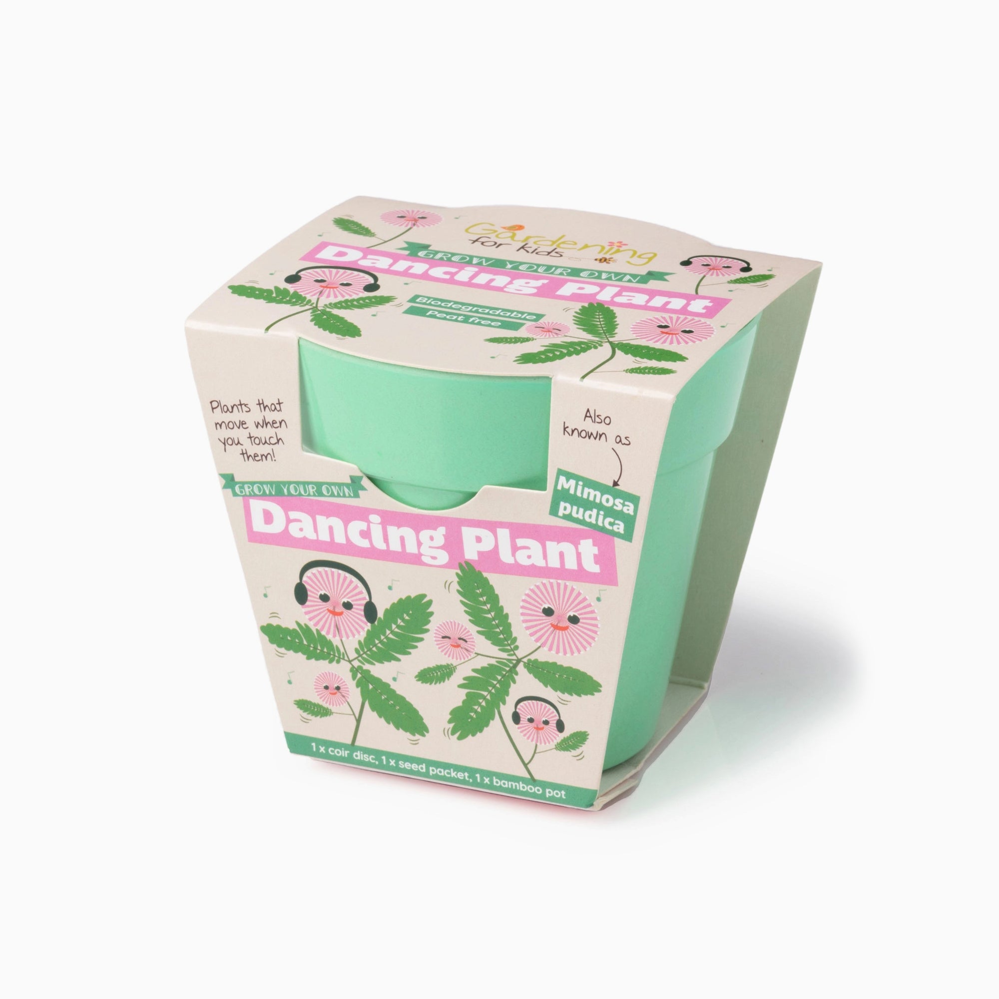 Grow Your Own Kit-gsd-mimosa - Dancing Plant Growing Kit-Gardening for Kids