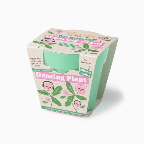 Grow Your Own Kit-gsd-mimosa - Dancing Plant Growing Kit-Gardening for Kids
