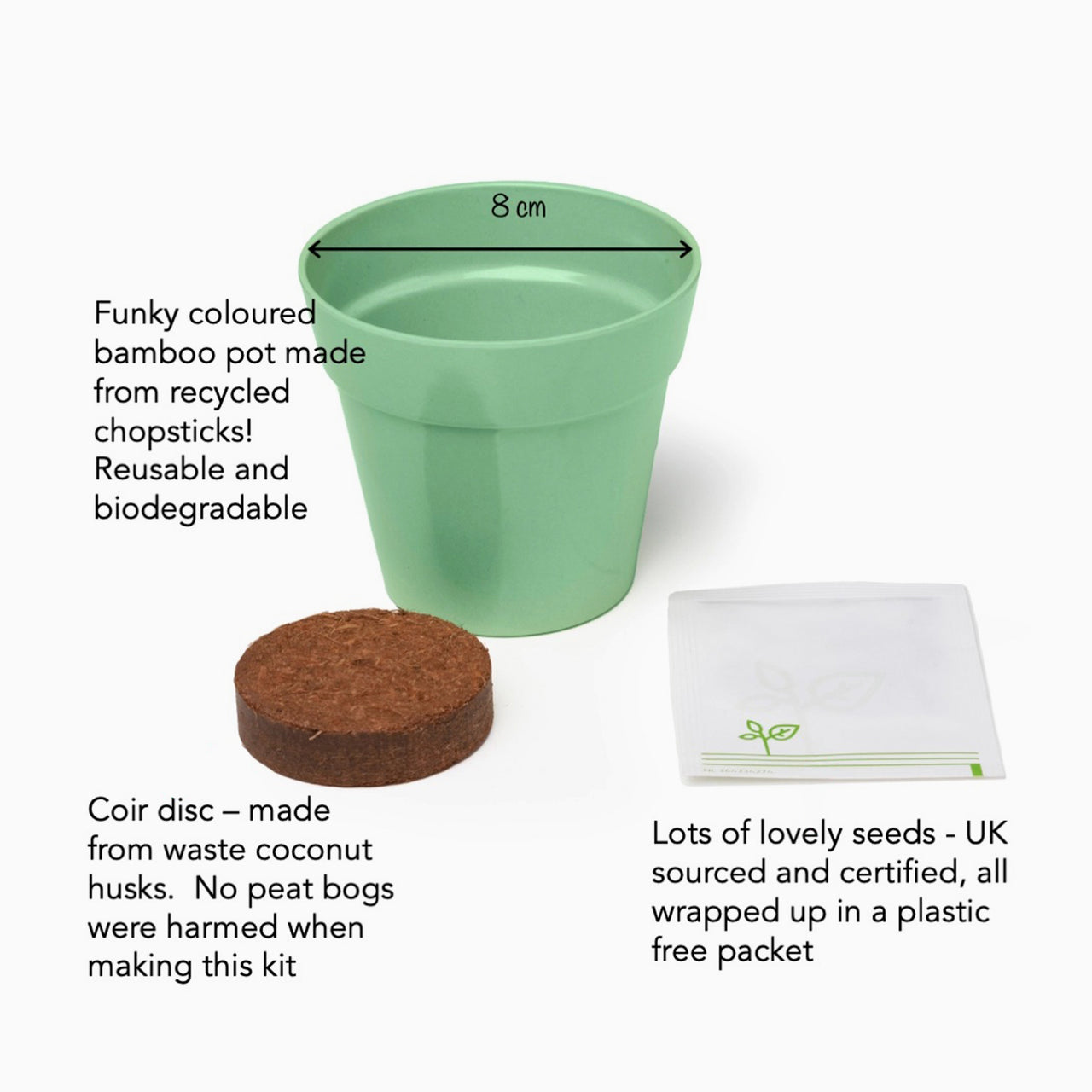 Grow Your Own Kit-gsd-mimosa - Dancing Plant Growing Kit-Gardening for Kids