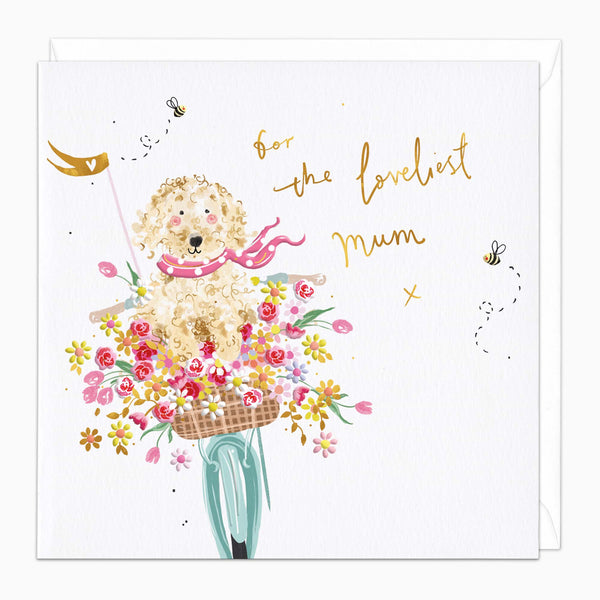 Greeting Card-H212 - Loveliest Mum Card-Whistlefish