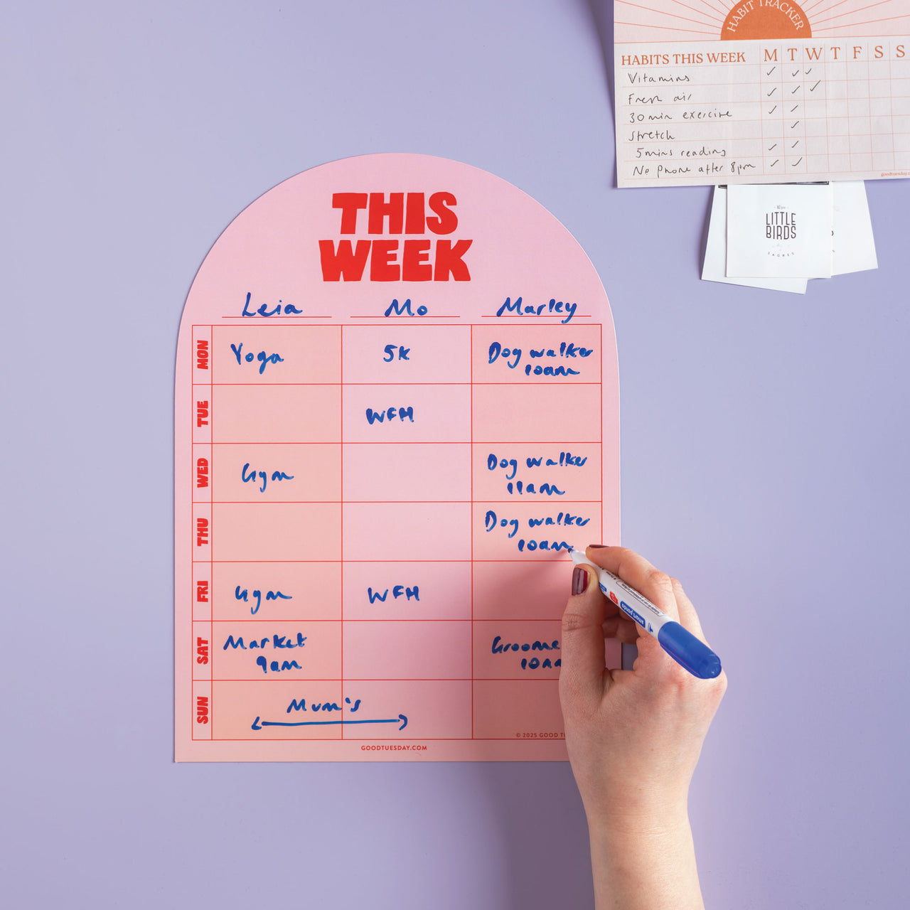 Weekly Planner-TUE-MFP-WKL-PNR-A4-W - Magnetic Weekly Planner-Whistlefish & Co
