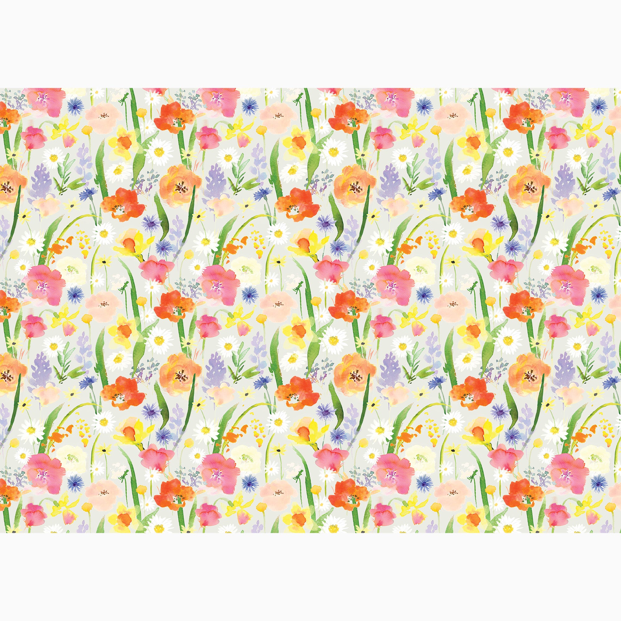 Wrapping Paper-GWP136 - Meadow Morning Wrapping Paper-Whistlefish
