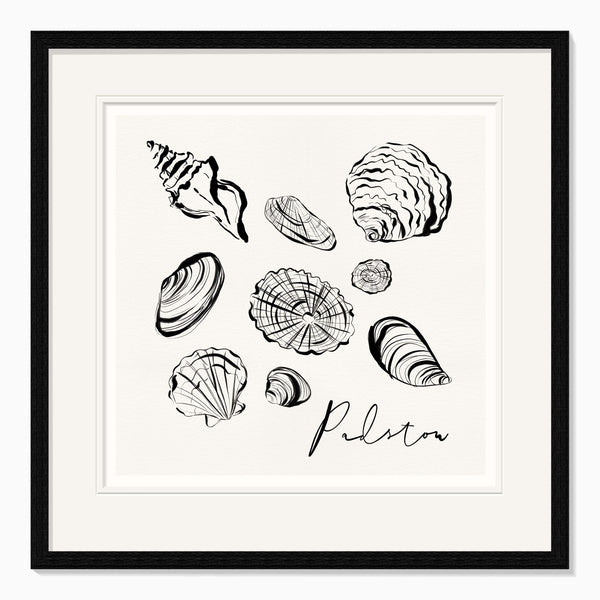 Framed Print-WF1104F - Padstow Shells Framed Print-Whistlefish
