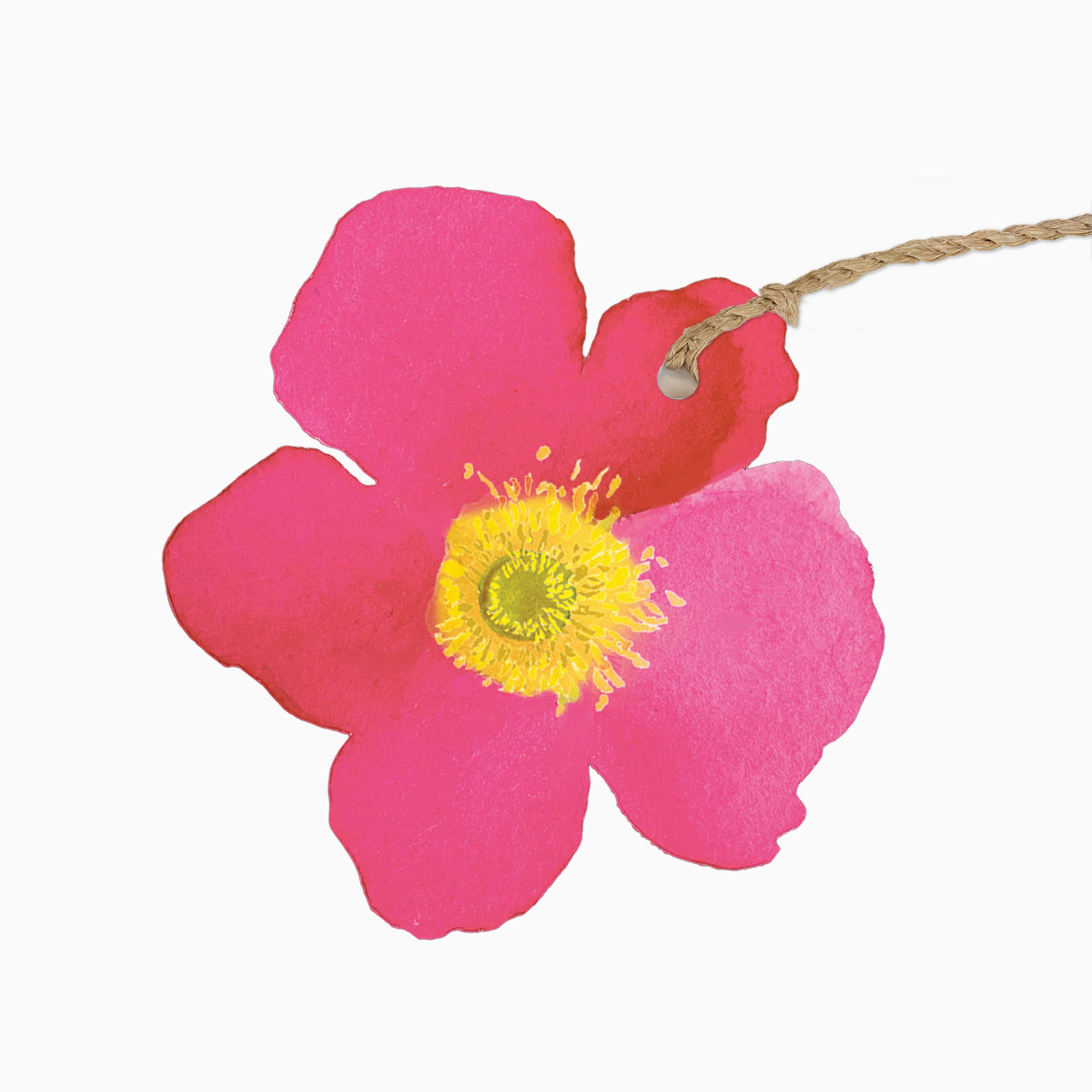 Gift Tag-GWT60 - Petal Pop Gift Tags-Whistlefish