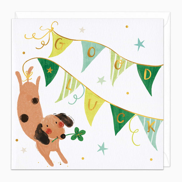 Greeting Card-H245 - Sausage in the Bunting Good Luck Card-Whistlefish