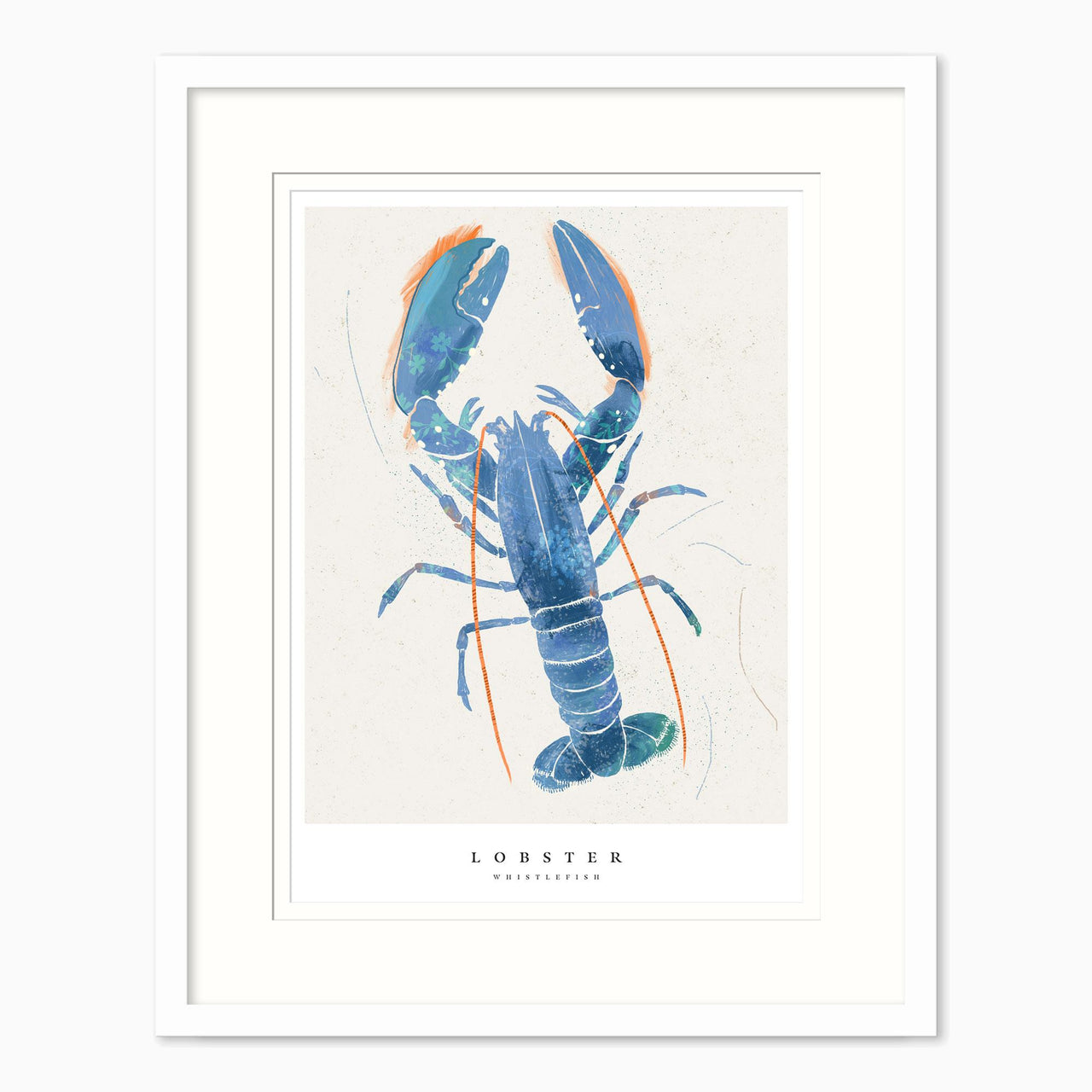 Framed Print-WF1028F - Seagrass Lobster Large Framed Print-Whistlefish