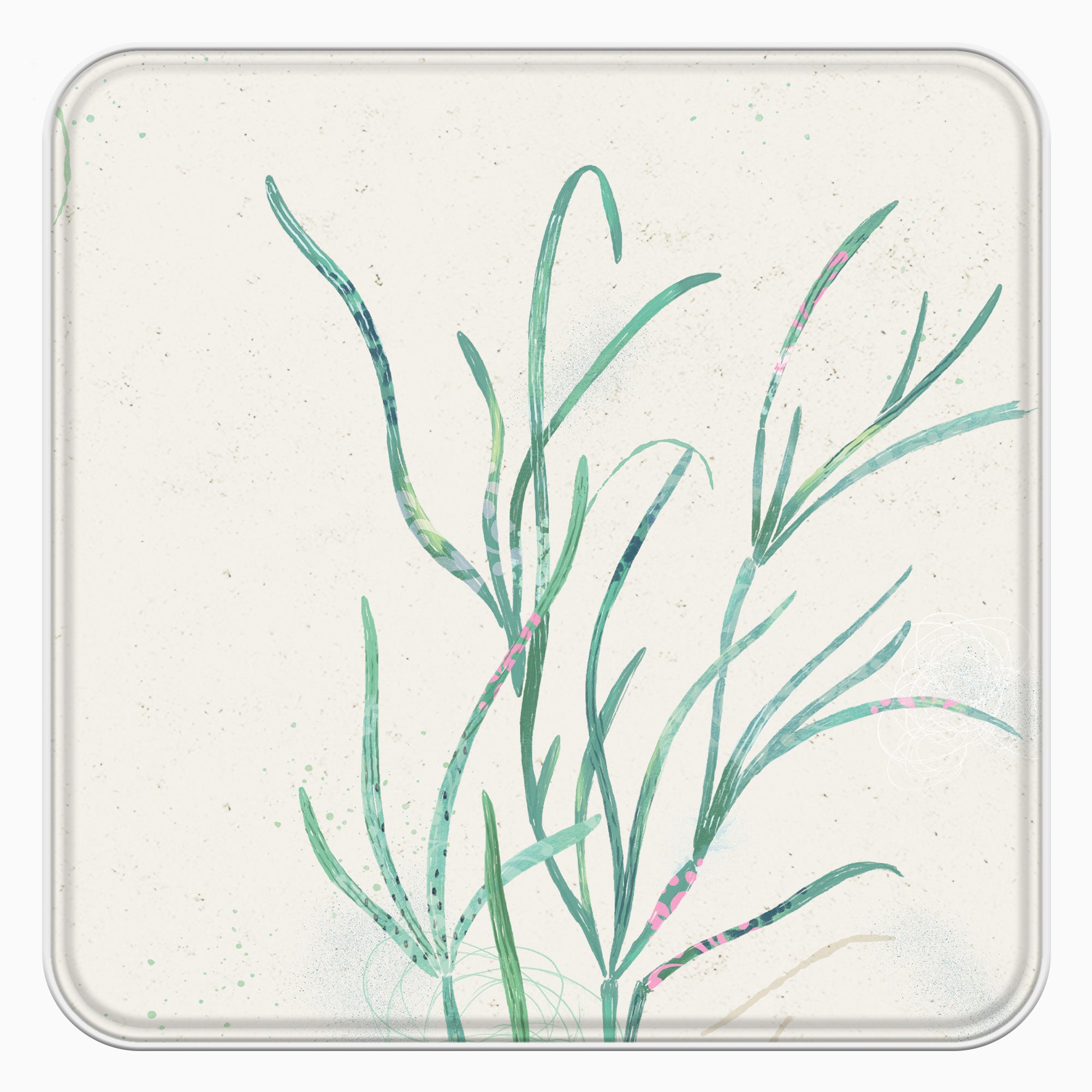 Notelet Tin-MWT62 - Seagrass Notelet Tin-Whistlefish