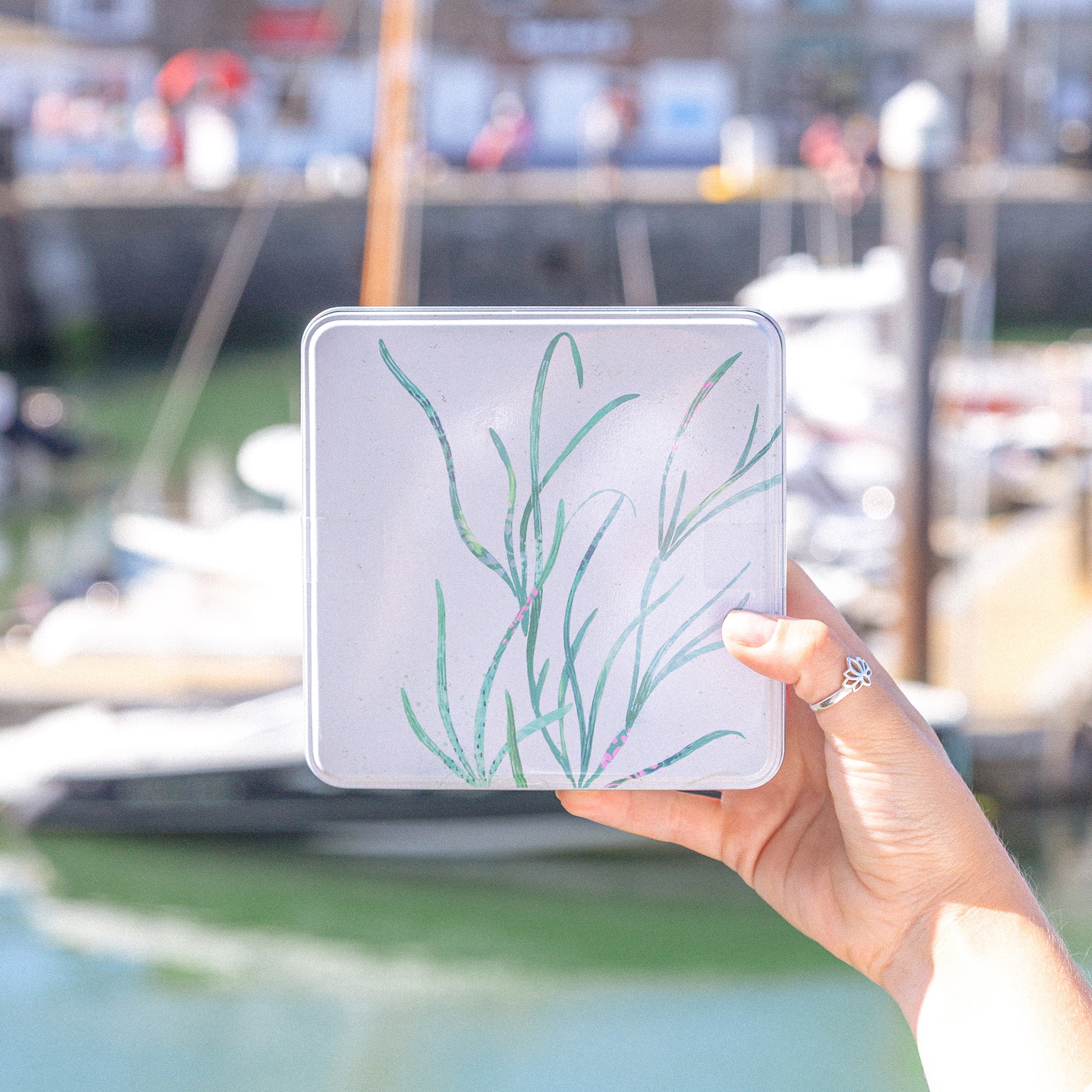 Notelet Tin-MWT62 - Seagrass Notelet Tin-Whistlefish