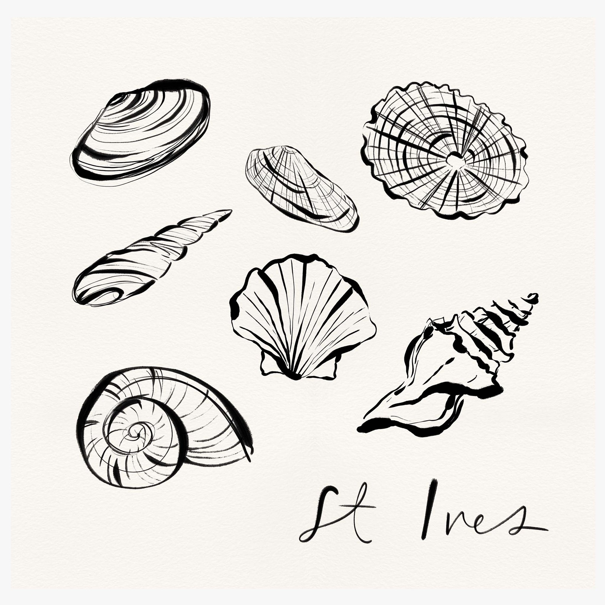 Framed Print-WF1106F - St Ives Shells Framed Print-Whistlefish