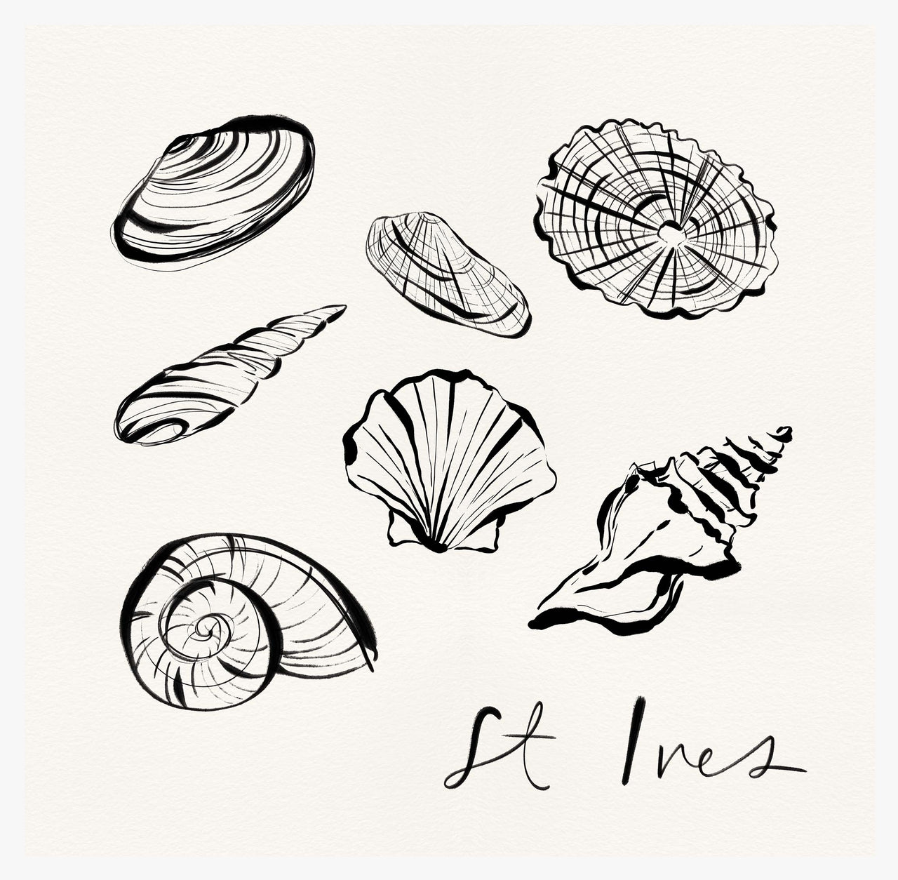 Framed Print-WF1106F - St Ives Shells Framed Print-Whistlefish