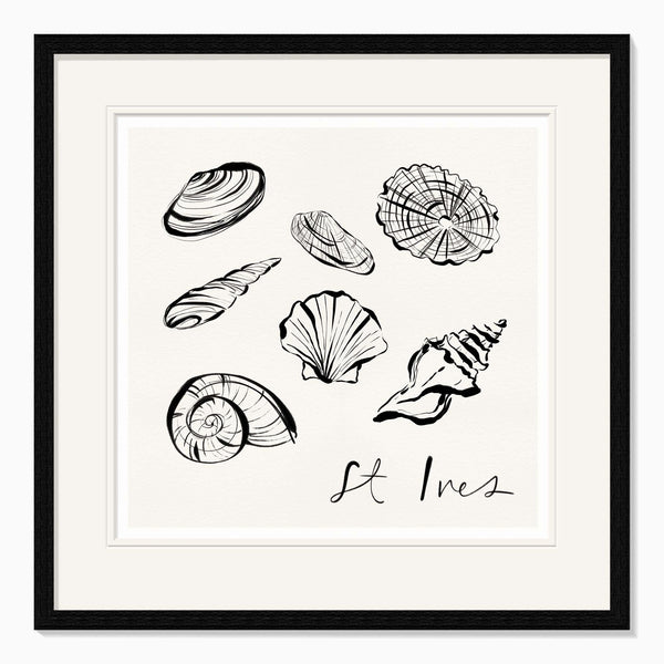 Framed Print-WF1106F - St Ives Shells Framed Print-Whistlefish