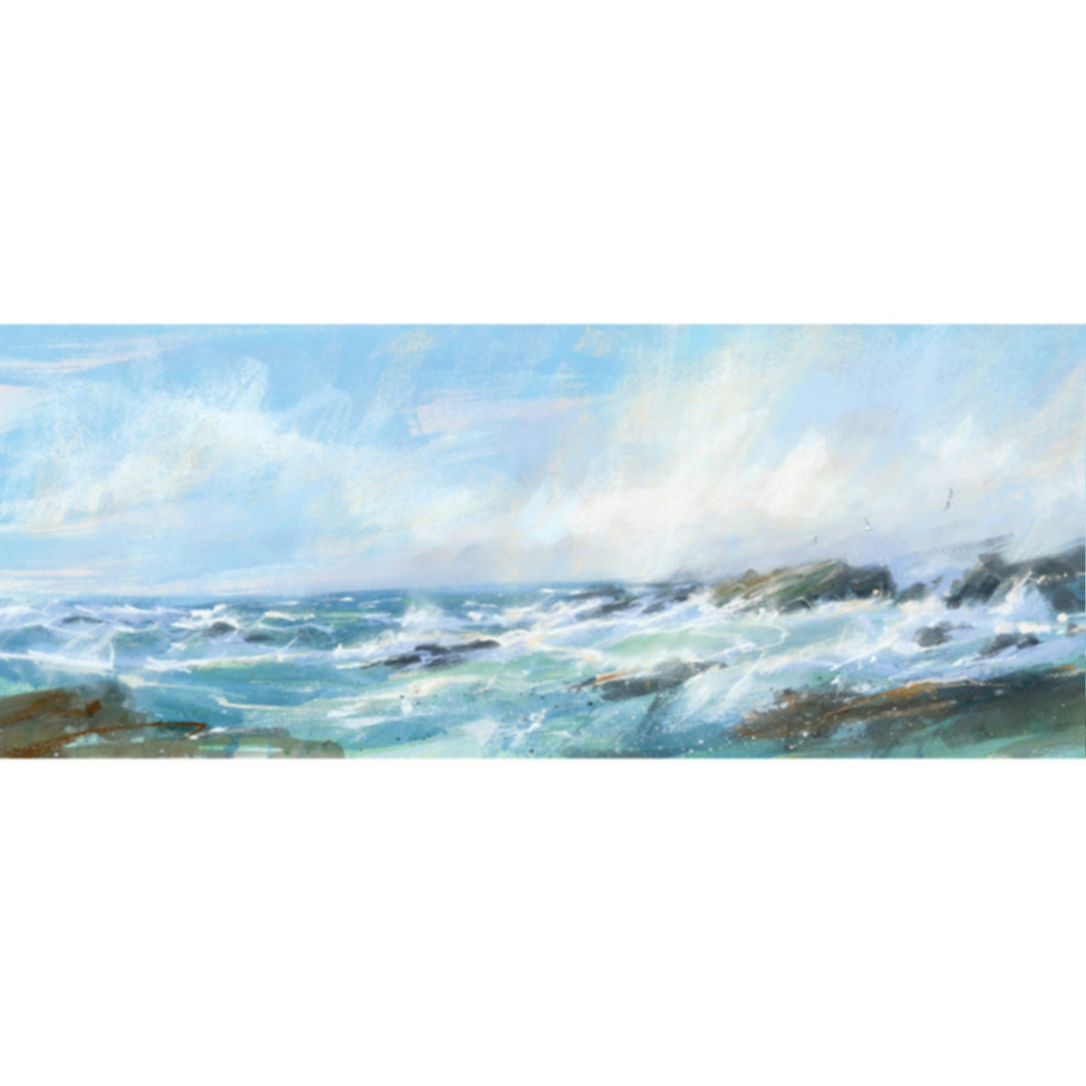 JBPA TOP 096P Terns Over Point Art Print