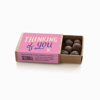 Thinking of You Seed Box - Whistlefish