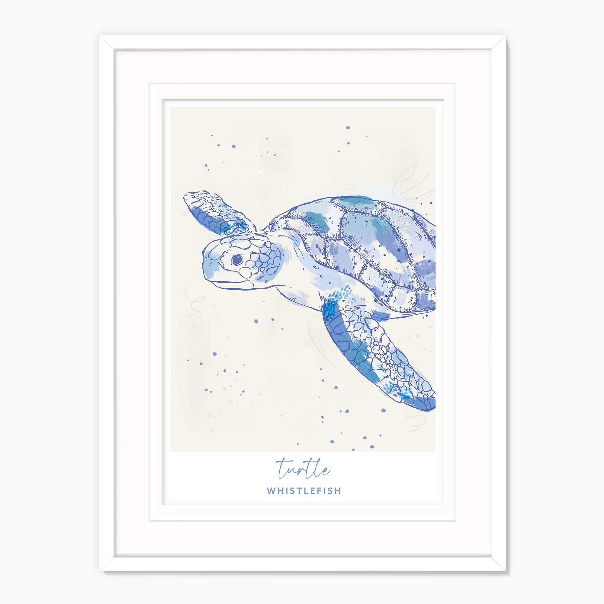 Framed Print-WF041293F - Turtle Large Framed Print-Whistlefish